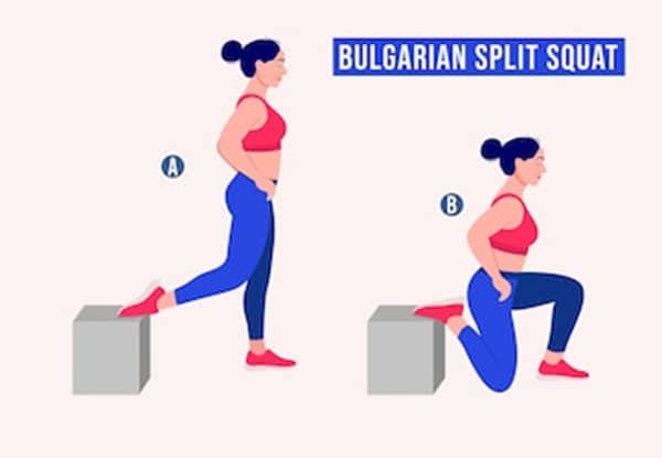bulgarian split squats